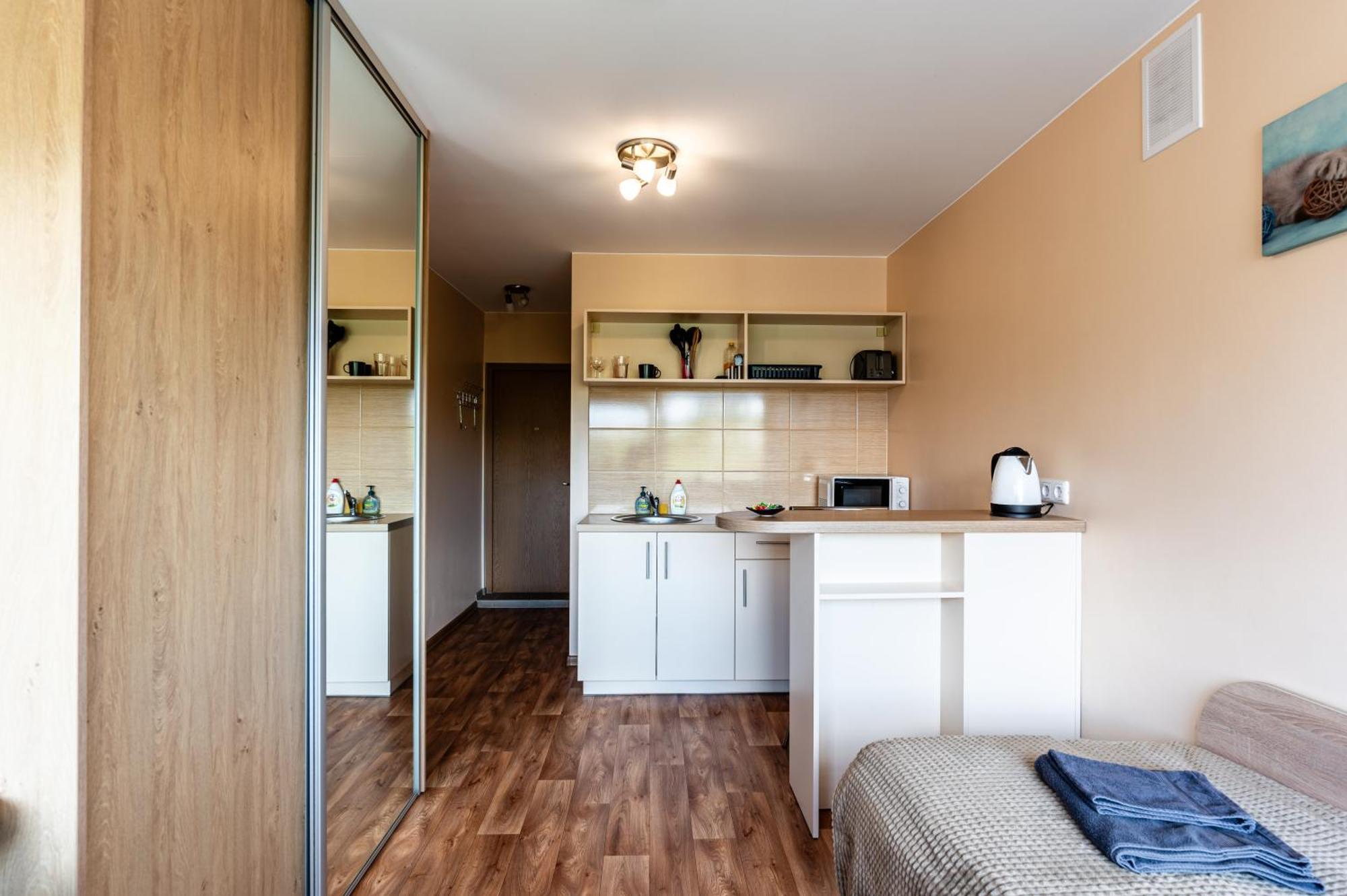 Studio Apartment Каунас Стая снимка